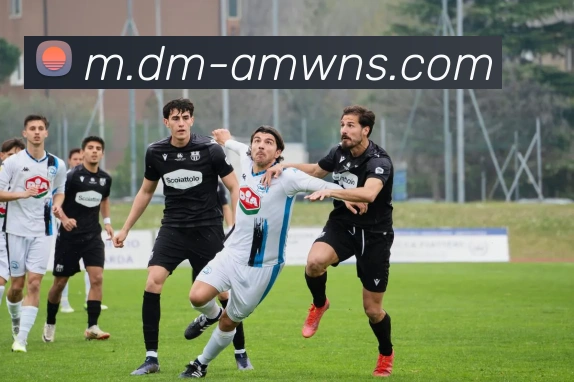 威尼斯人娱乐网站平台生态图