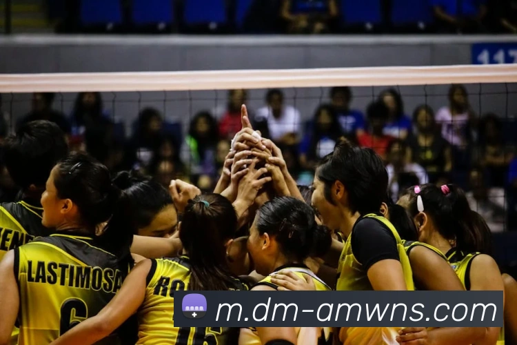 辅助工具 辅助工具